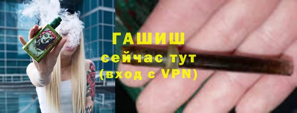 СК Алексин