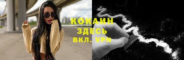 СК Алексин