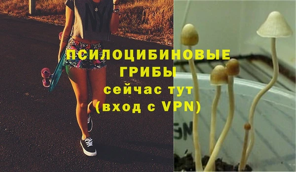 СК Алексин