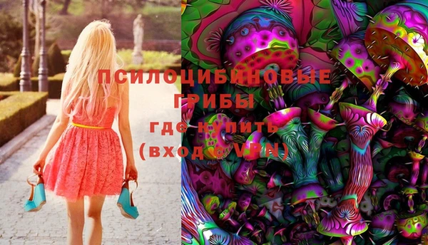 амф Алзамай