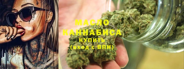 СК Алексин