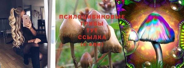 СК Алексин