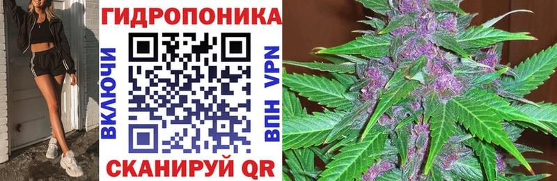 Каннабис AK-47  магазин    блэк спрут как войти  Белорецк 